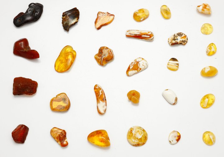 Colours of Baltic Amber