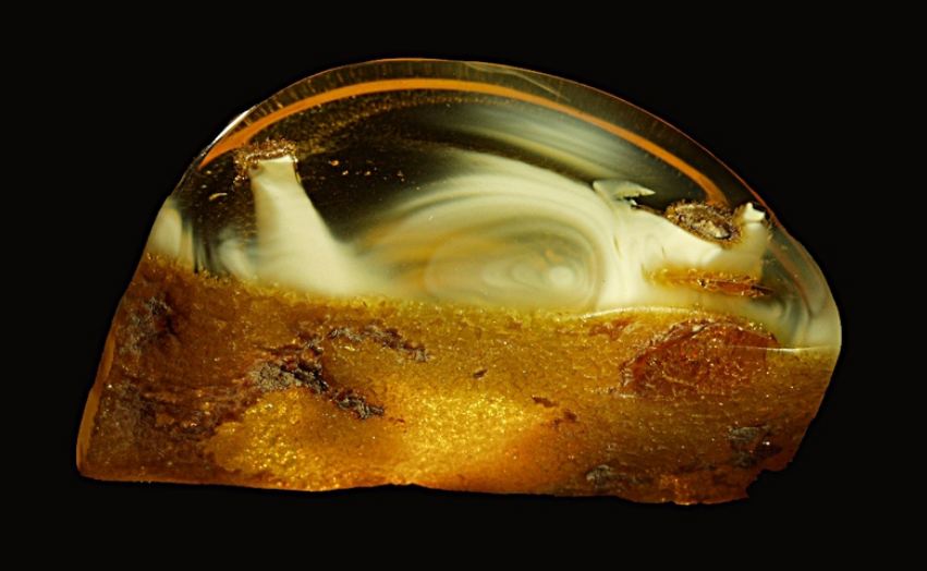 Baltic_amber_has_big_variety_of_colours